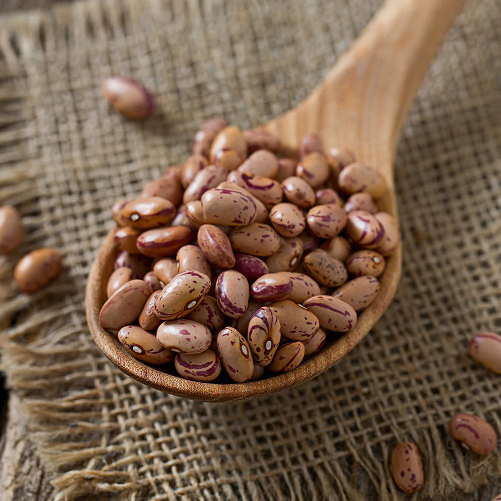 Colorado Pinto Beans